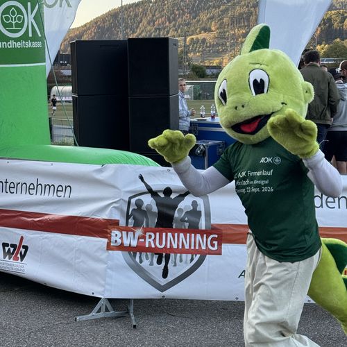 2. AOK Firmenlauf Haslach im Kinzigtal 2026