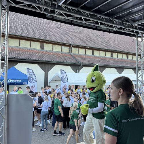 2. AOK Firmenlauf Haslach im Kinzigtal 2026