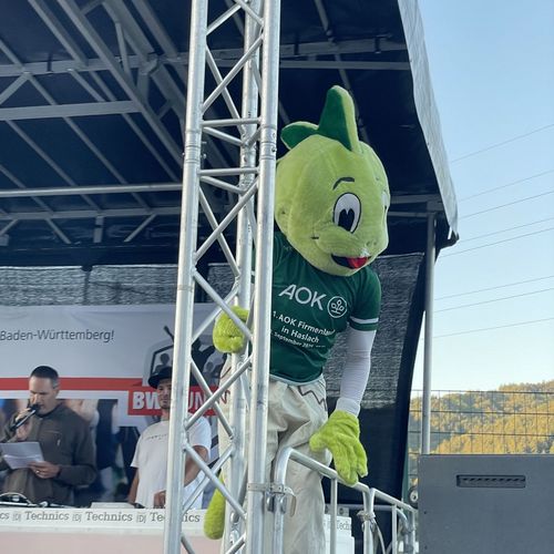 1. AOK Firmenlauf Haslach im Kinzigtal 2025